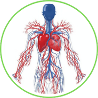 activ greens para colesterol y diabetes