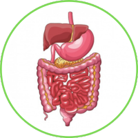 activ greens para el estomago